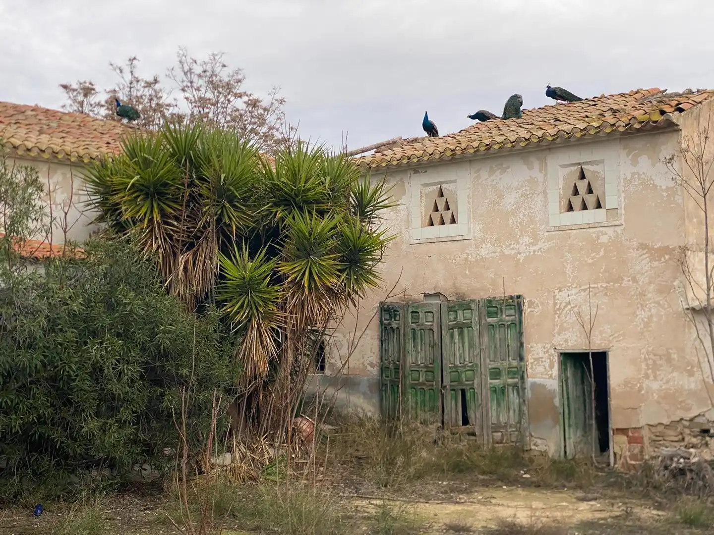 Terreni e lotti in vendita a Moratalla