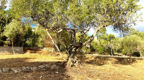 Foto 4 de Residencial en venda a Carrer de Les Oliveres, 7, Closa de Vinaròs - Ermita, Castellón