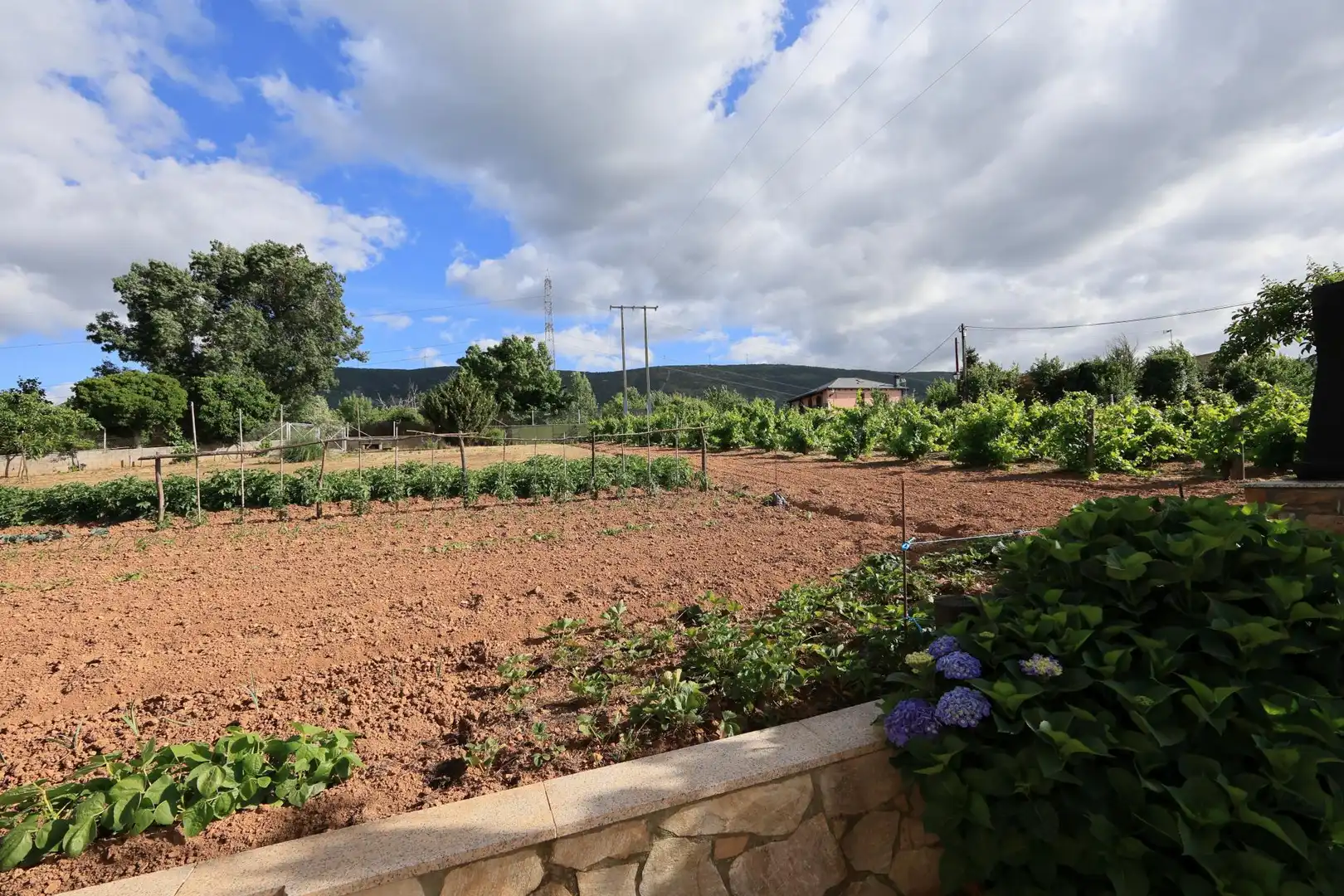 Jardín de Finca rústica en venta en Castropodame con Calefacción y Piscina
