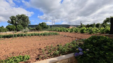 Foto 5 de Finca rústica en venda a Castropodame, León