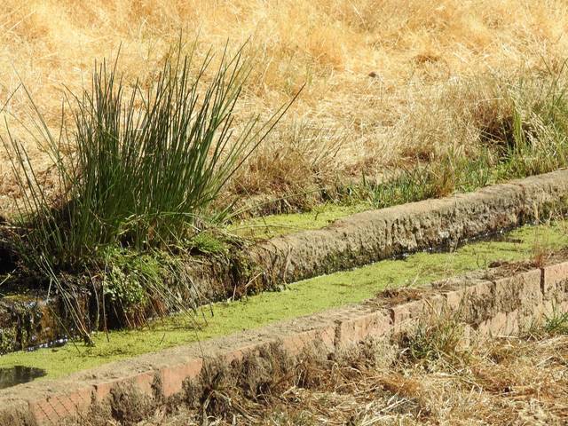 Terreno en Venta en Villar del Pedroso