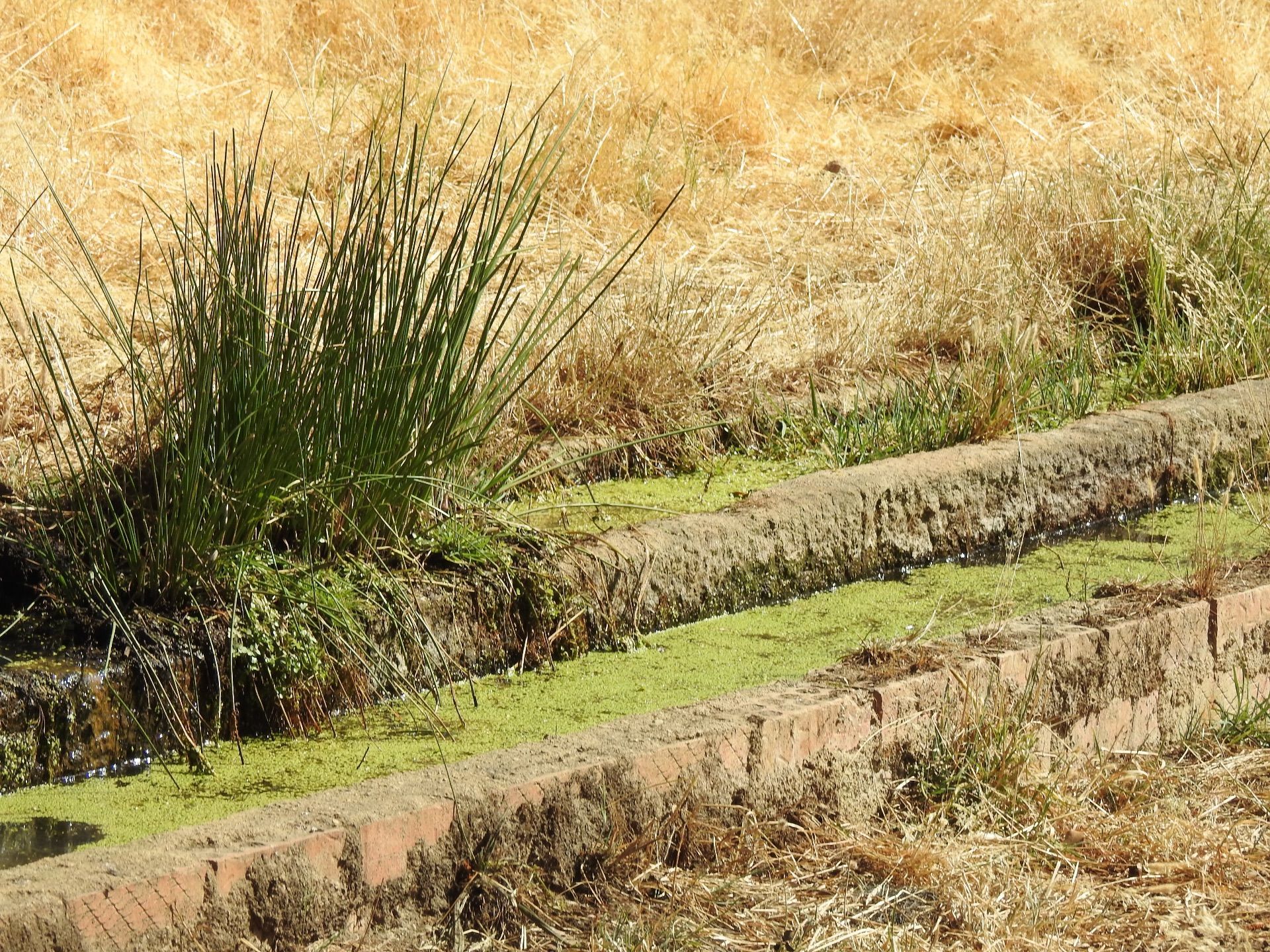 Exterior view of Land for sale in Villar del Pedroso