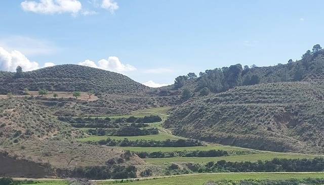 Terreno residencial en Venta en Las Pala en La Tova
