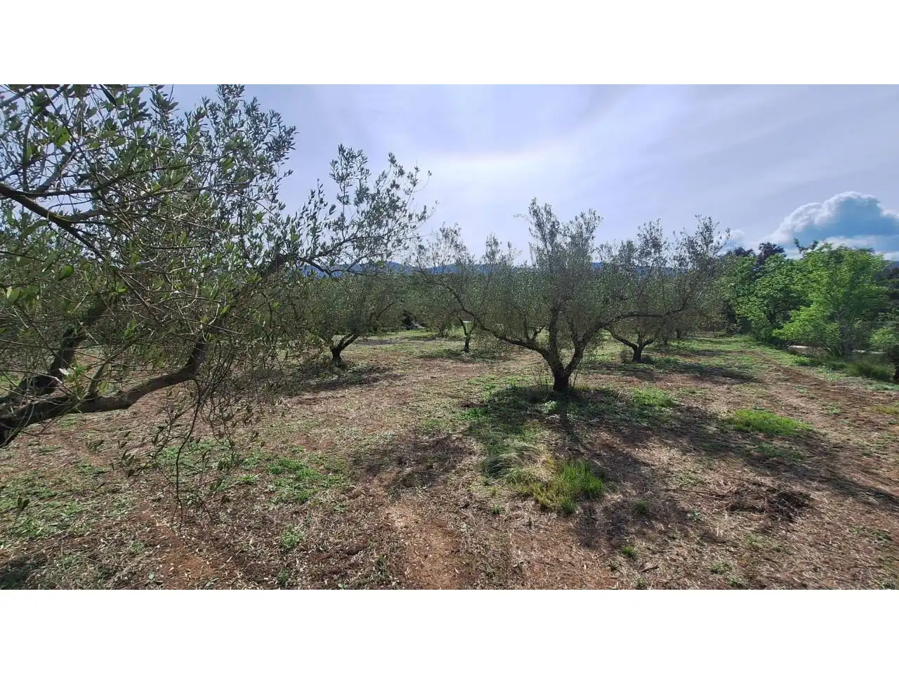 Terreno residencial en venta en Pasaje Alfogas, imagen 8