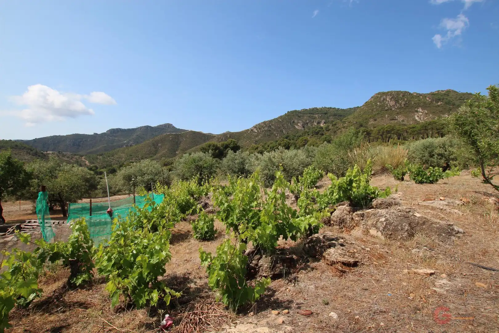 Maison rustique à vendre à Albuñuelas, imagen 20