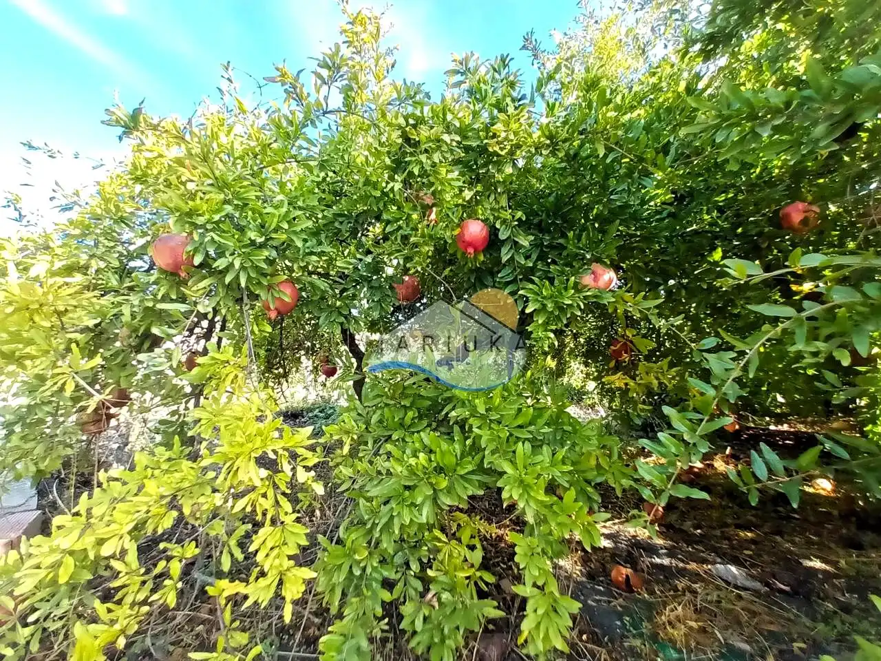 Country house for sale in Camino de las Herrerías, imagen 15