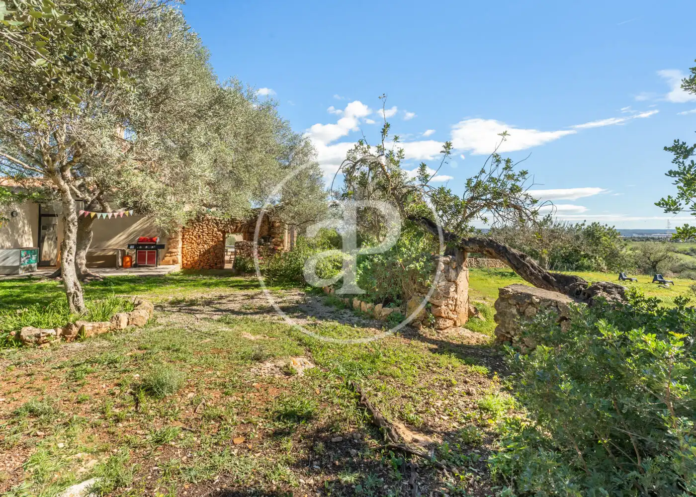 Jardí de Casa o xalet en venda en  Palma de Mallorca amb Aire condicionat, Calefacció i Jardí privat