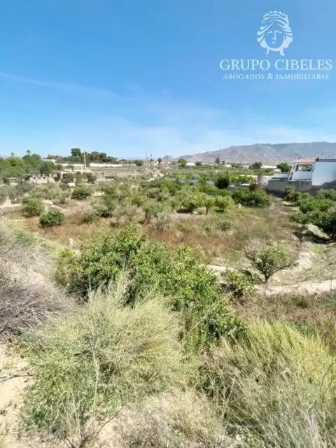 Finca rústica en venta en Pechina