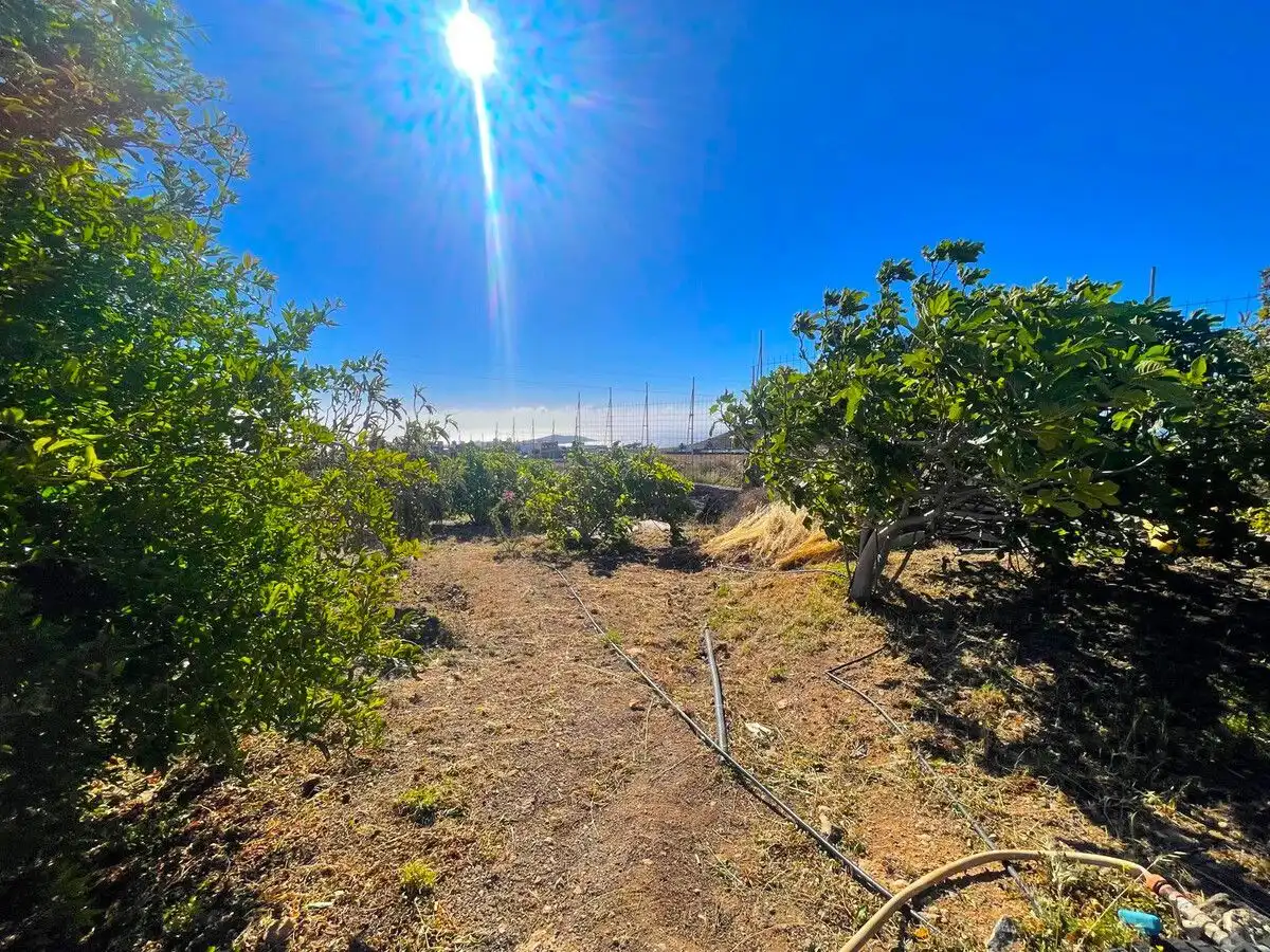 Land for sale in Ingenio