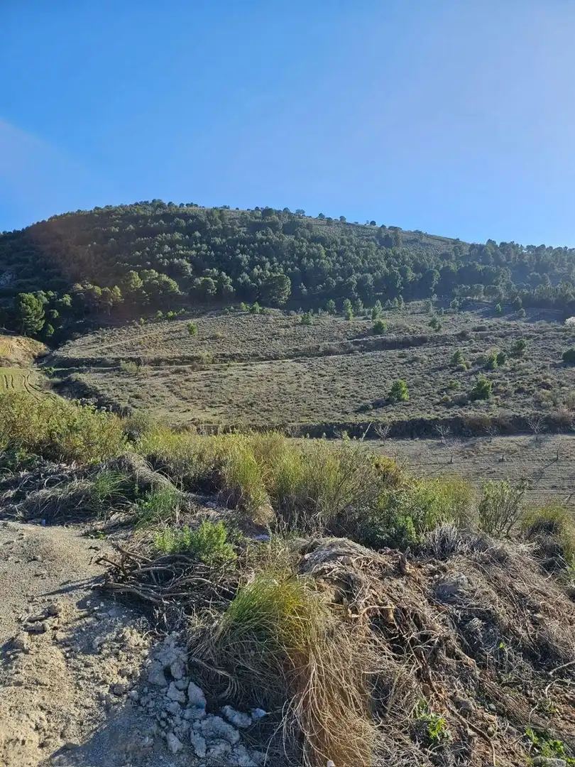 Residential land for sale in Calle Veleta s/n, imagen 12