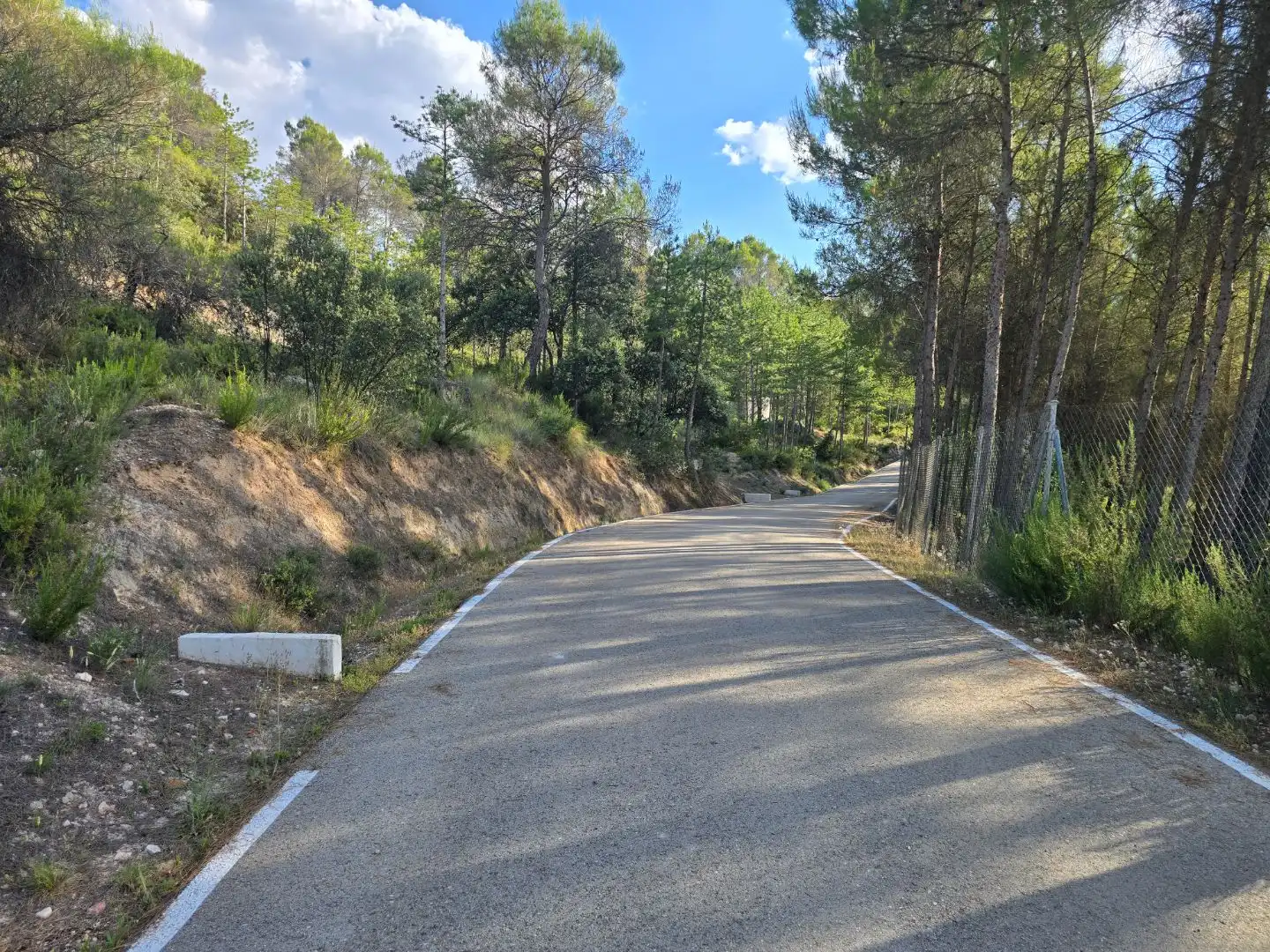 Terreny residencial en venda a Urbanizacion los Pinares 12