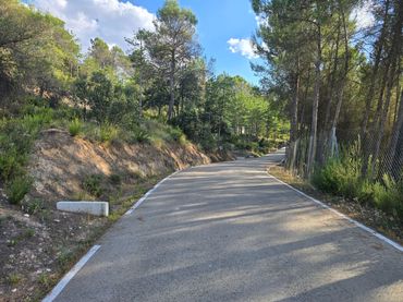 Terreno residencial en venta en Urbanizacion los Pinares 12