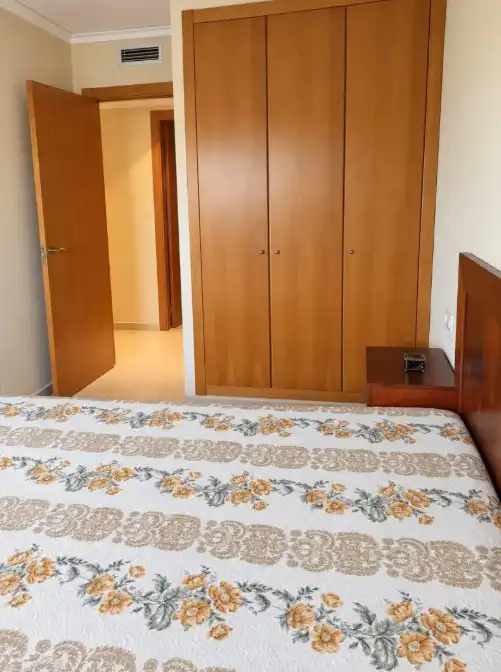 Pis amb ascensor en venda a Les Boqueres - Santa Quiteria, imagen 16
