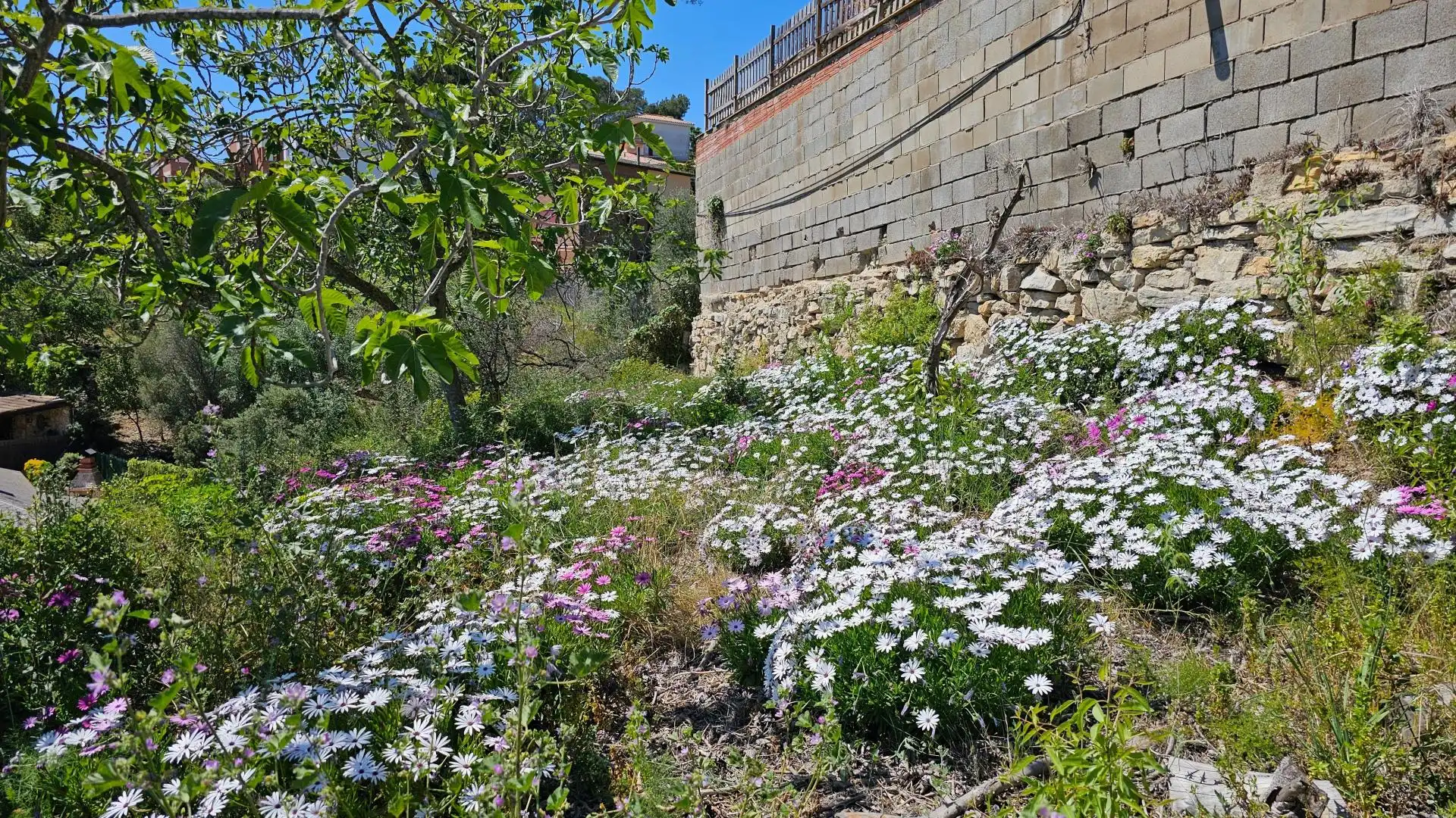 Garden of Residential for sale in Pallejà