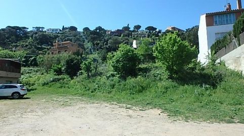 Begur, (Girona) Terreno urbano en c. Semafor, imatge 4