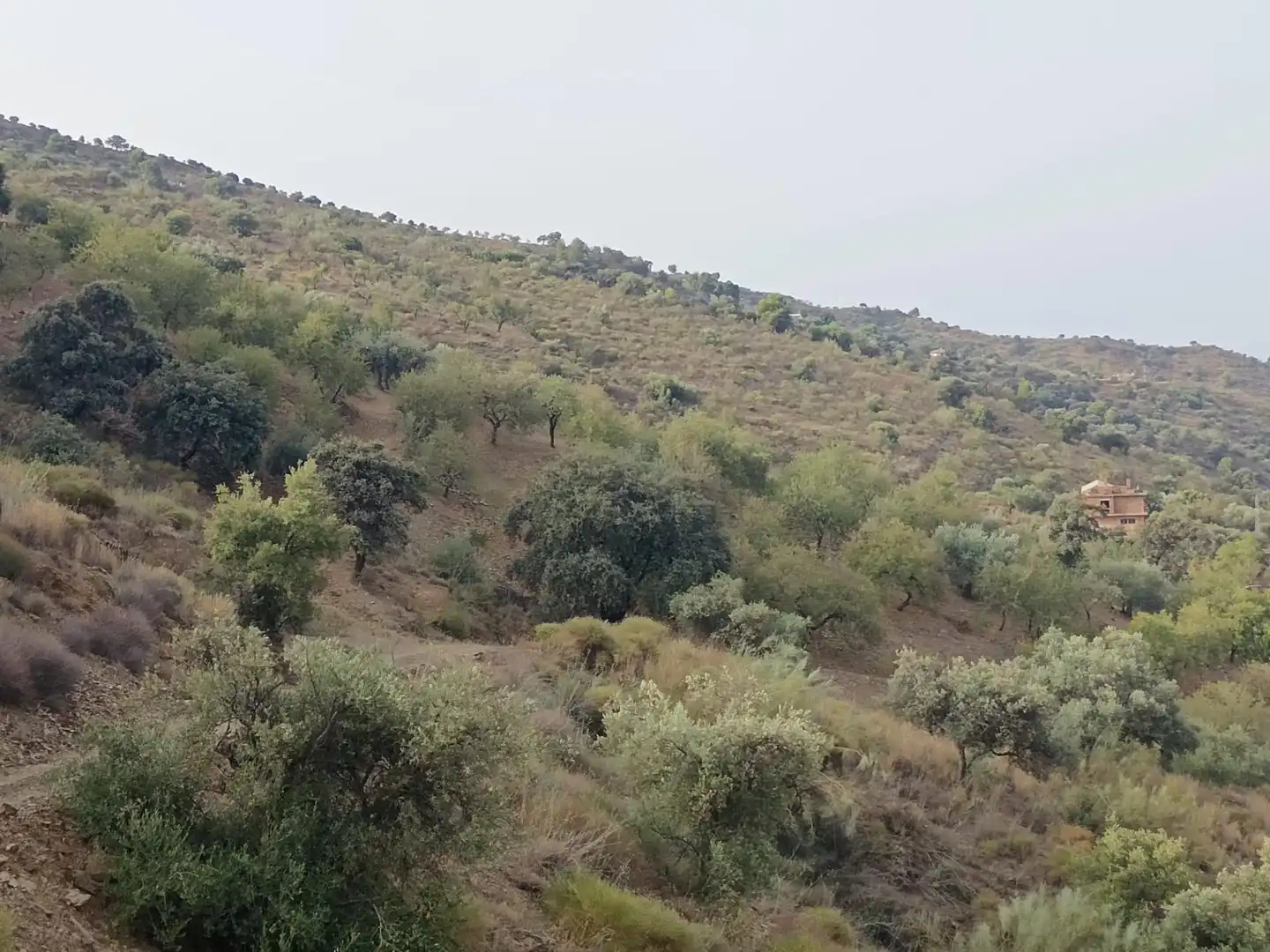 Terreni e lotti in vendita a Centro, imagen 3