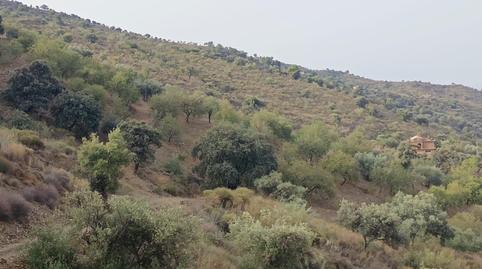 Photo 3 of Land for sale in Centro Histórico, Málaga