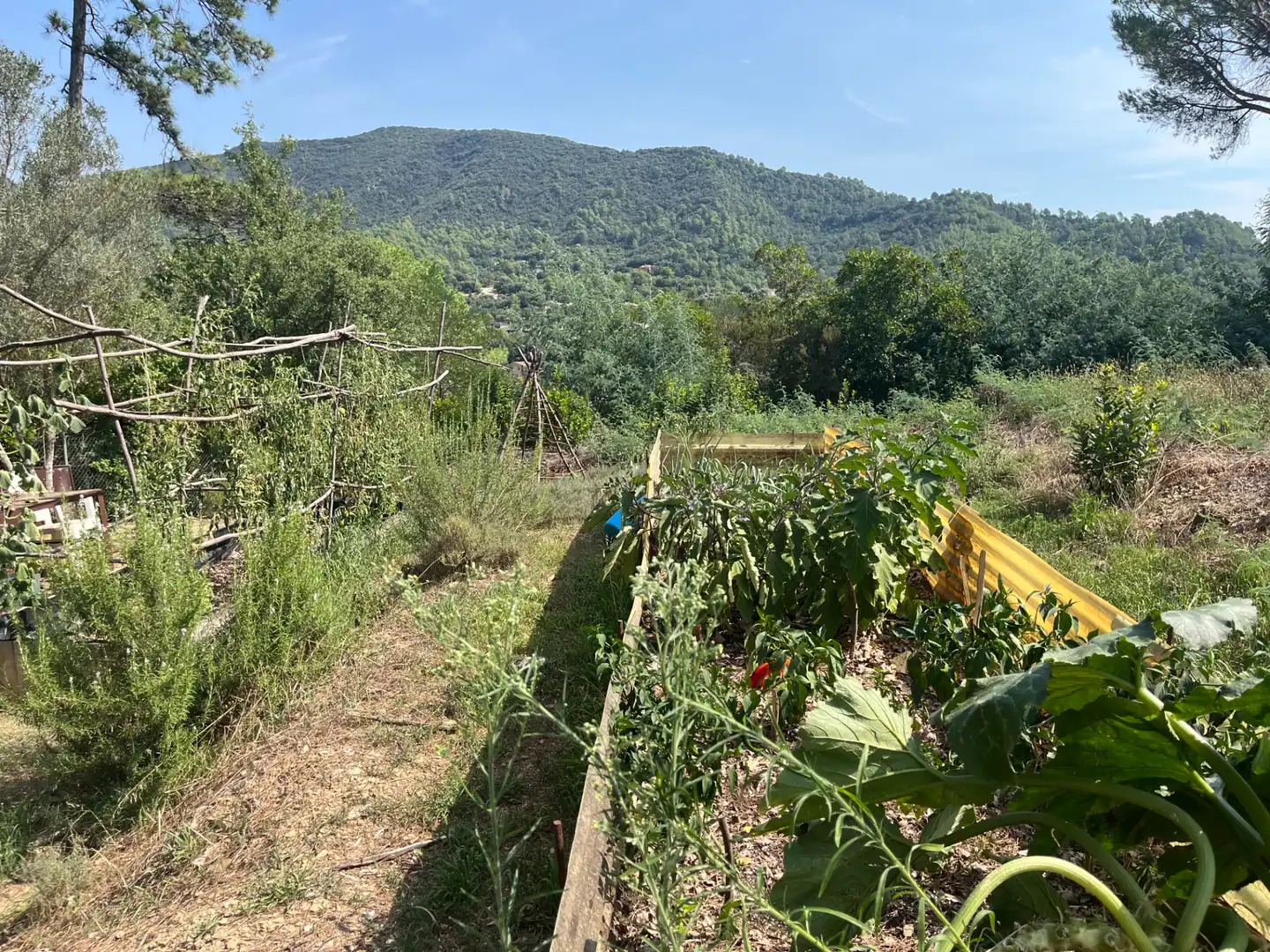 Terreno en venta en Sant Martí de Llémena