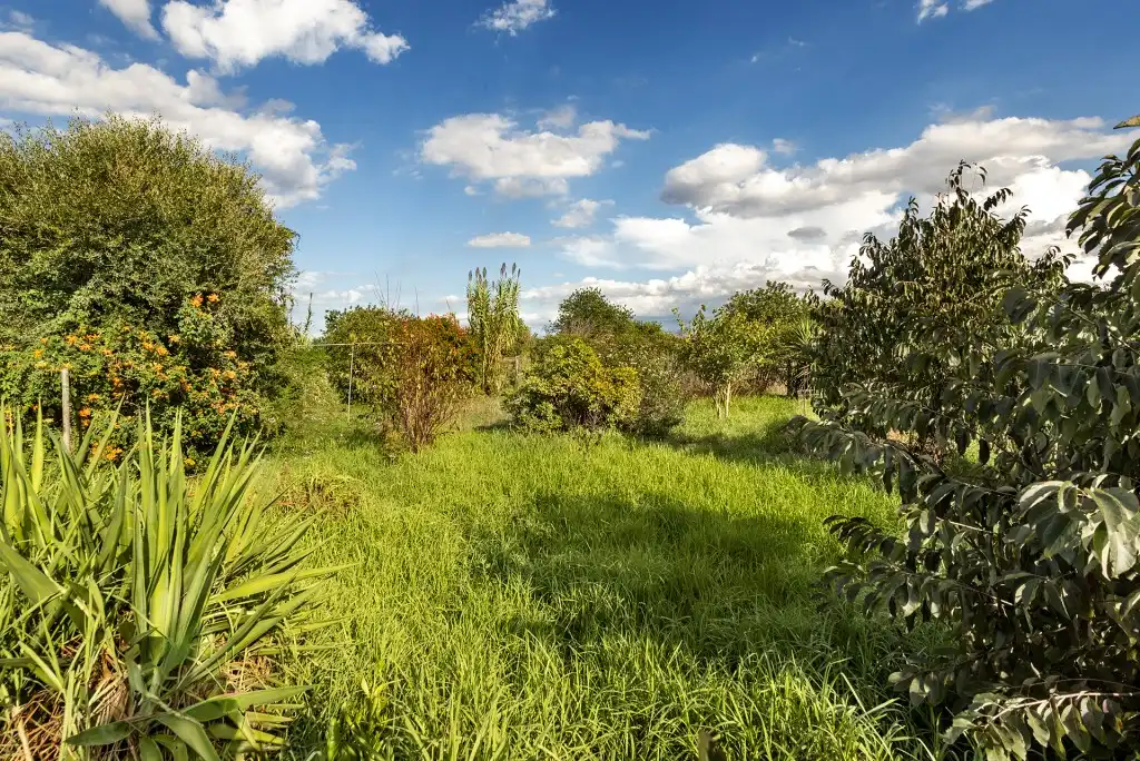 Country house for sale in Campanet, imagen 26
