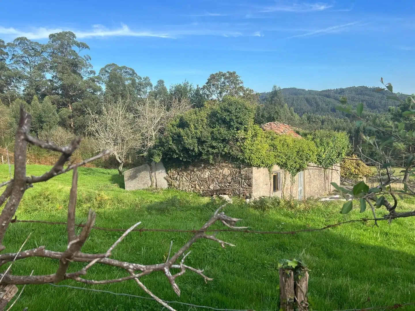 Casa rústica en venta en Lugar Silvalonga, imagen 11