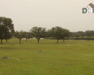 Finca rústica en venda a Ciudad Monumental