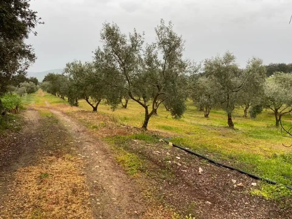 Casa o xalet en venda en La Granjuela amb Calefacció, Jardí privat i Traster