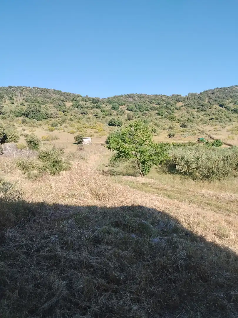 Terreno rustico in vendita a Burguillos del Cerro, imagen 9