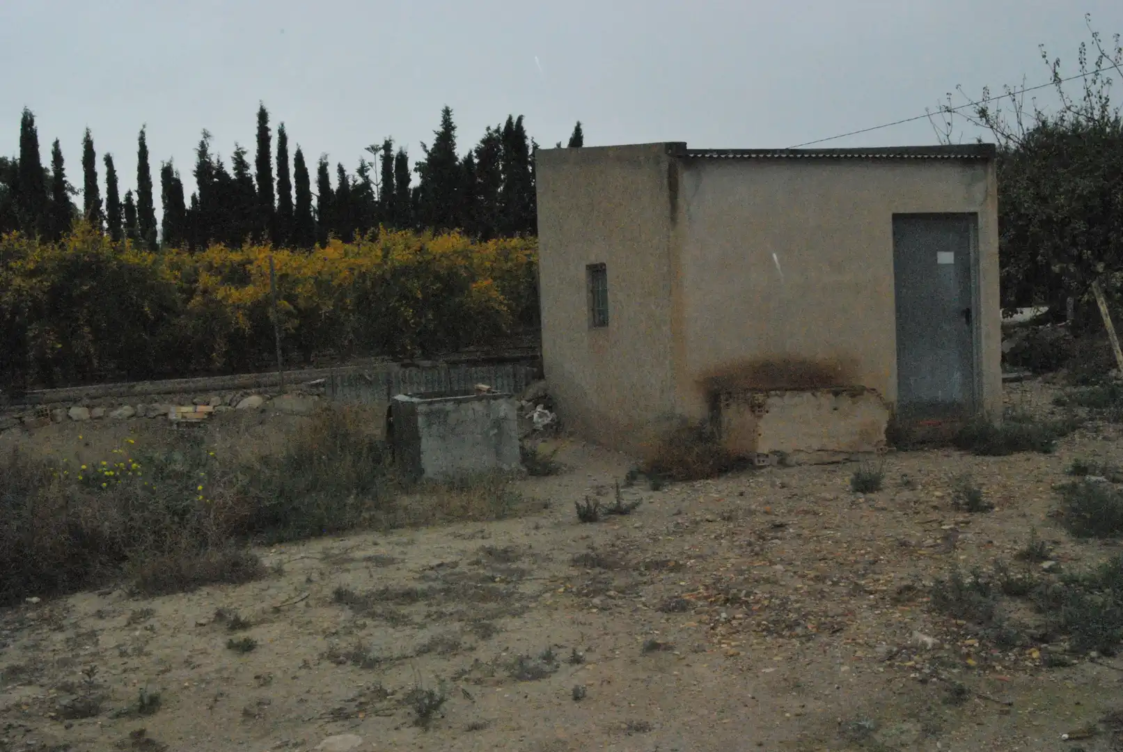 Terrain rustique à vendre à Agost, imagen 3