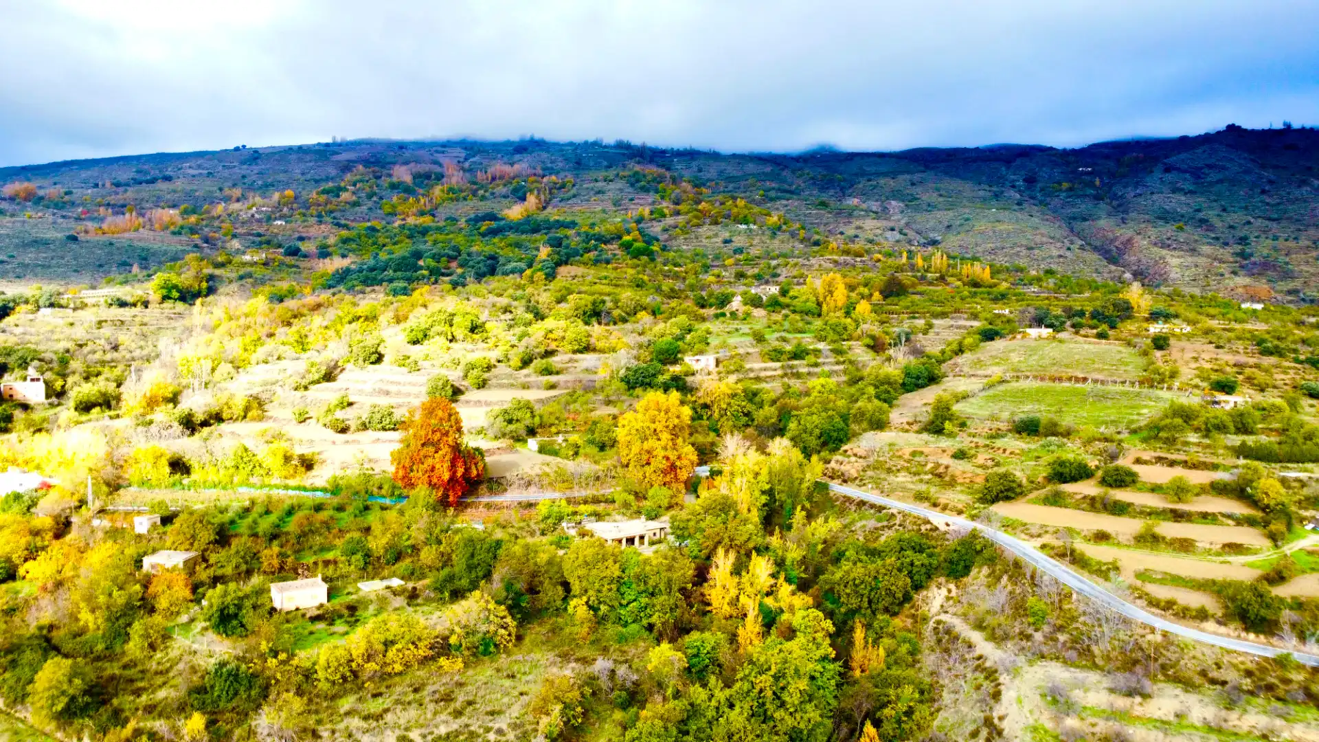 Exterior view of Houses for sale in Alpujarra de la Sierra  with Heating, Private garden and Terrace