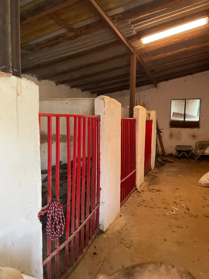 Local comercial en venda a M-535 3, imagen 29