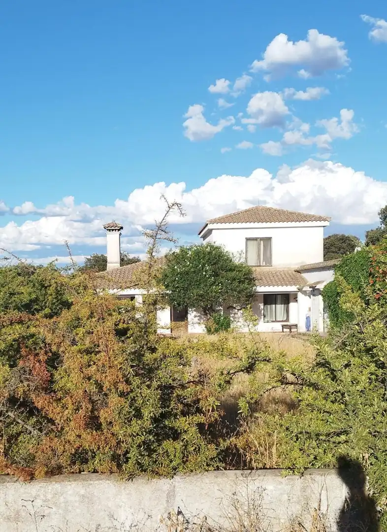 Vista exterior de Terreno en venta en Casatejada
