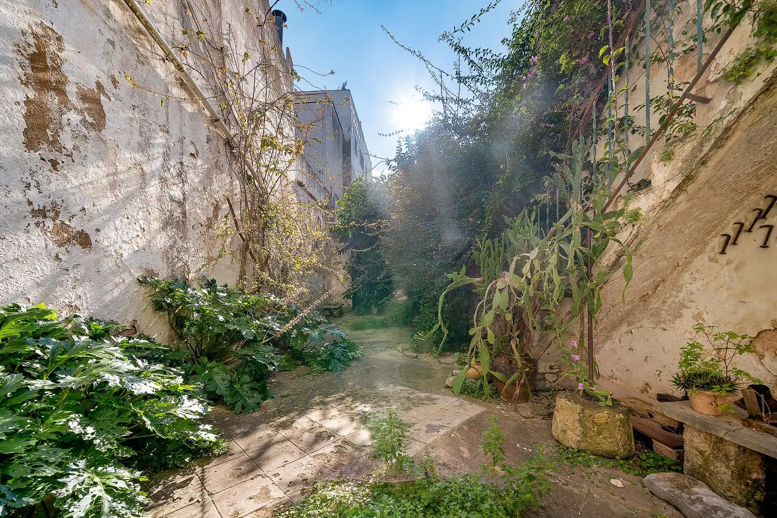 Garten von Einfamilien-Reihenhaus zum Verkauf in Sa Pobla mit Heizung, Privatgarten und Terrasse