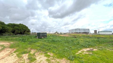 Photo 5 of Residential for sale in Parque Atlántico - Ronda este, Jerez de la Frontera