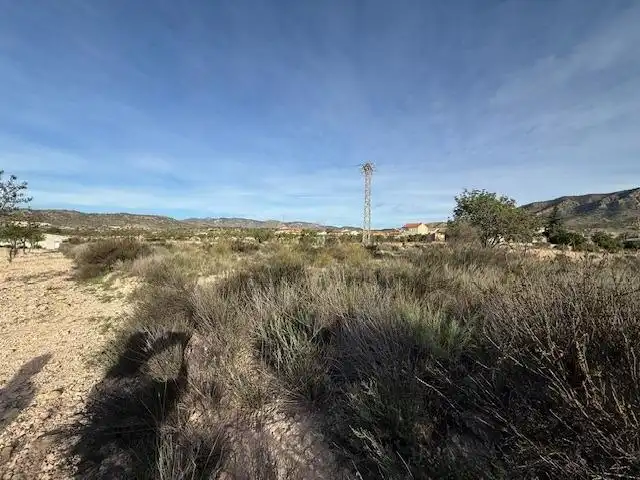 Lands and plots for sale in Abanilla
