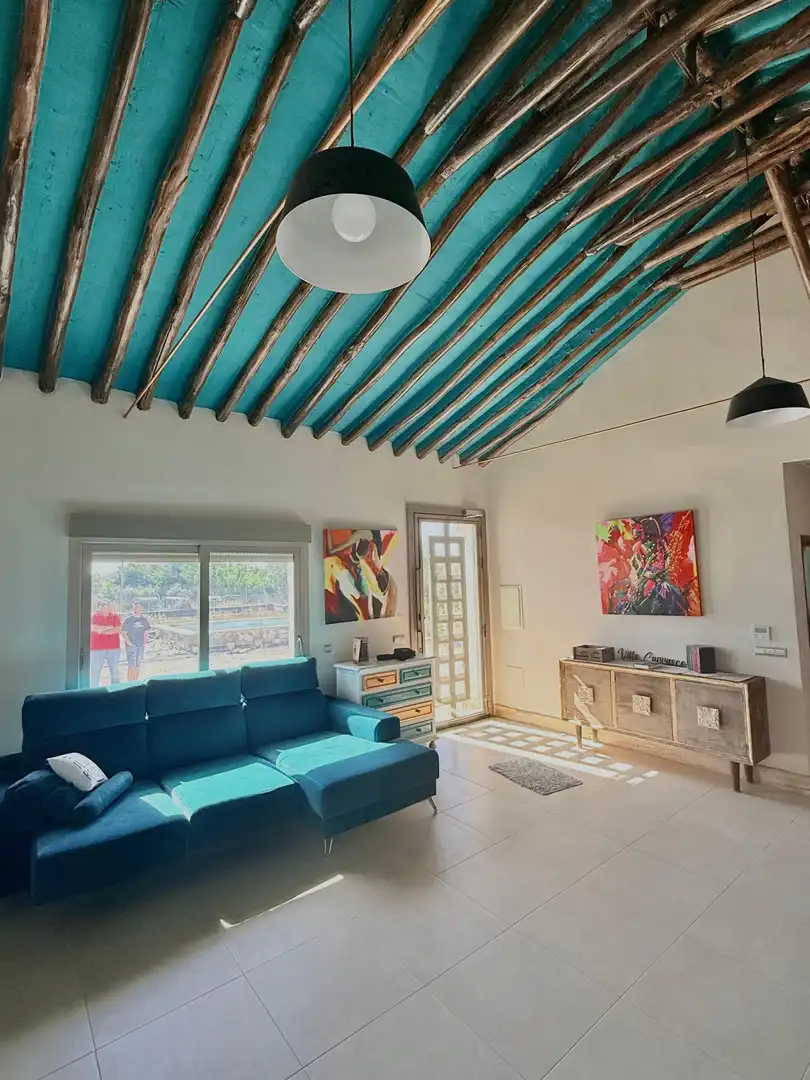 Sala d'estar de Casa o xalet en venda en Albox amb Aire condicionat, Calefacció i Jardí privat