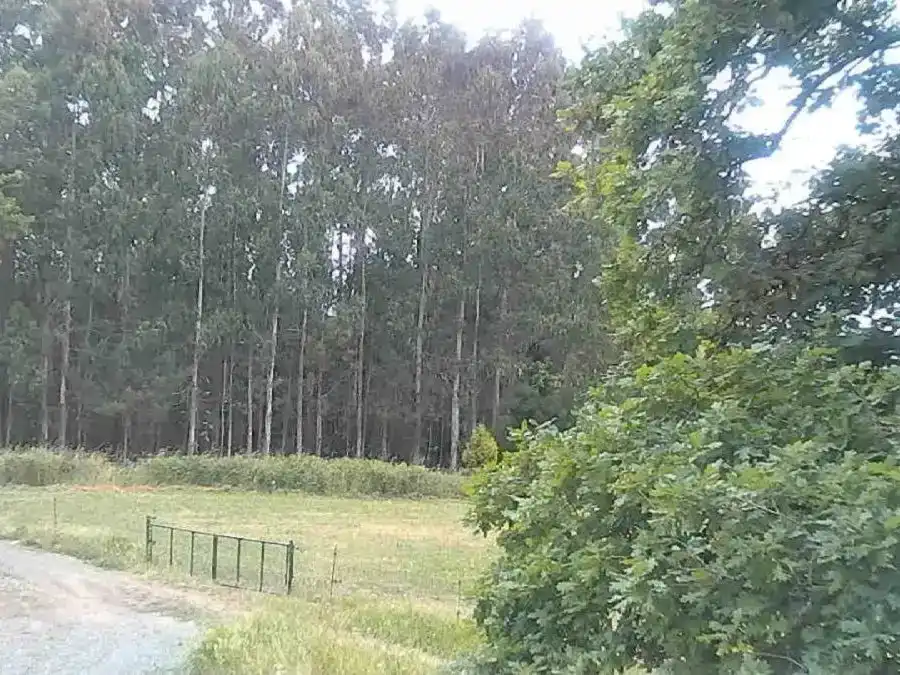 Finca rústica en venda en Vilasantar amb Aire condicionat