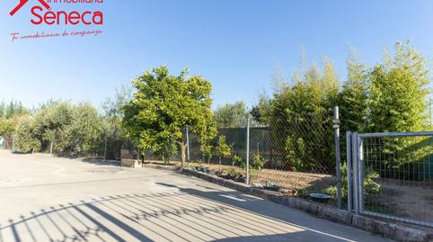 Photo 4 of House or chalet for sale in C/ el Trigal 28 B, El Higuerón, Córdoba