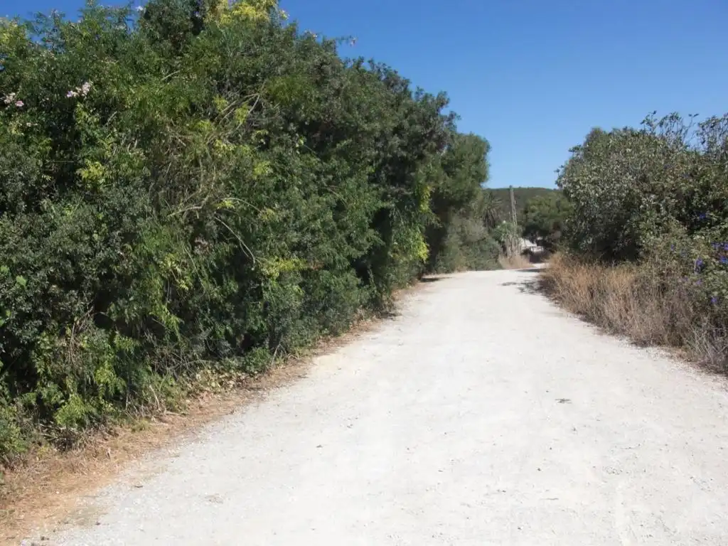 Terreni e lotti in vendita a Vejer
