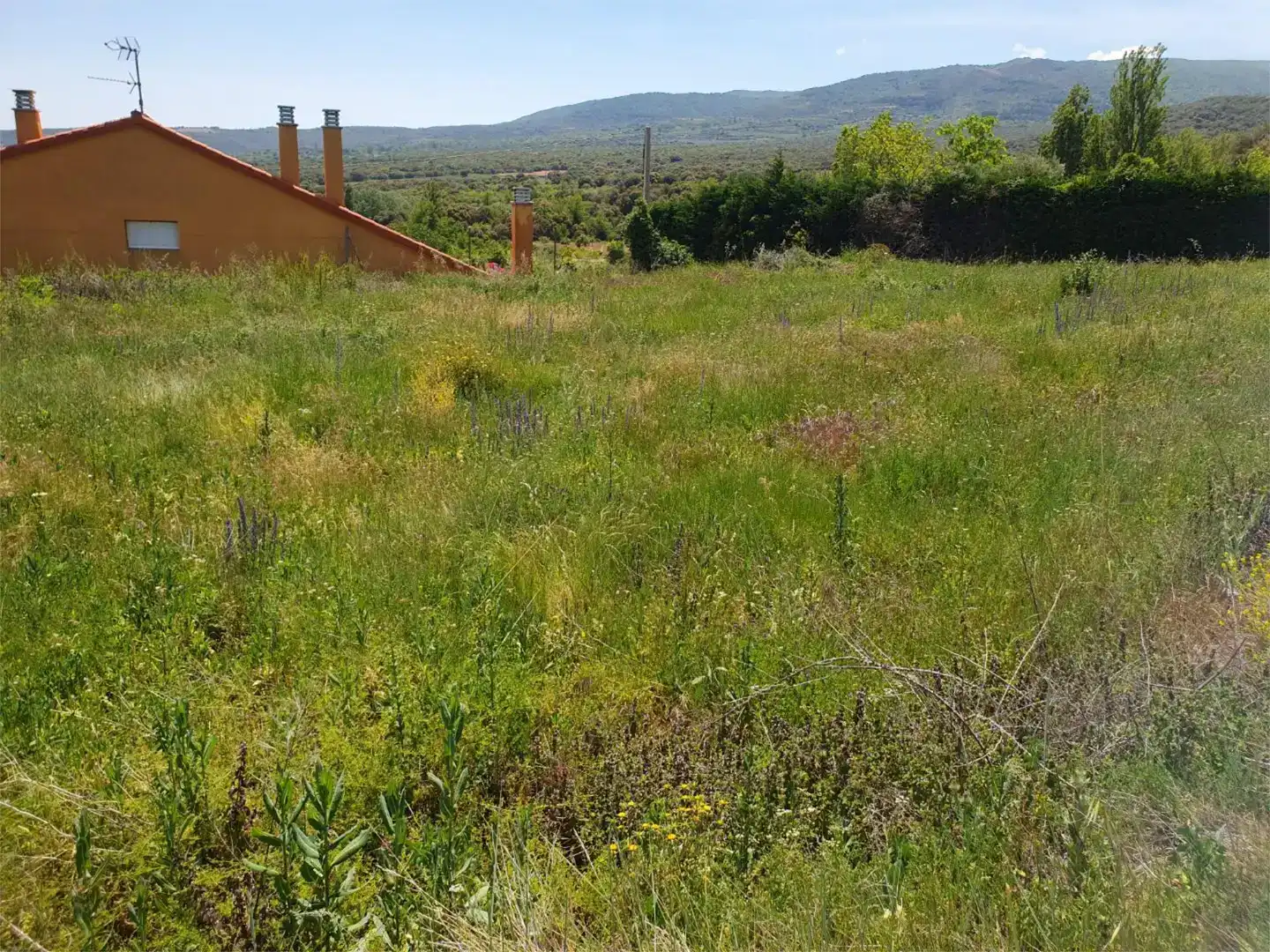 Land for sale in Ocón