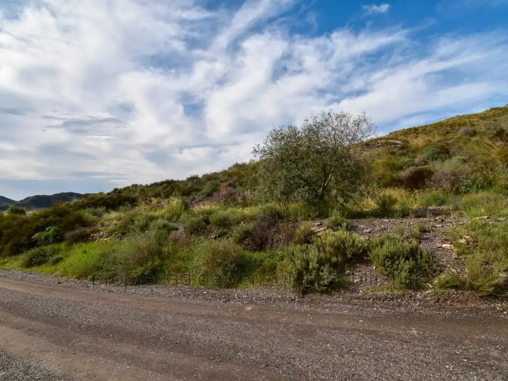 Terreno residencial en venta en Tébar - Los Arejos, imagen 3