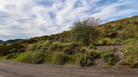 Foto 3 de Residencial en venta en Tébar - Los Arejos, Águilas