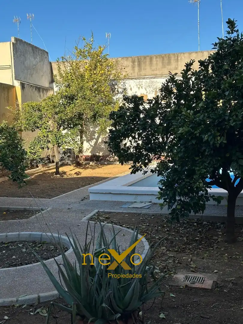 Jardín de Casa o chalet en venta en Carmona con Jardín privado y Piscina