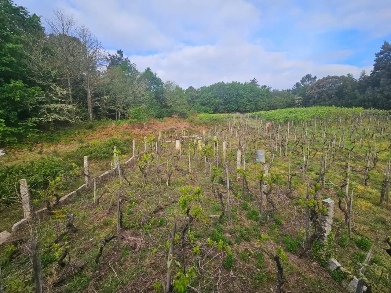 Houses for sale in Toén
