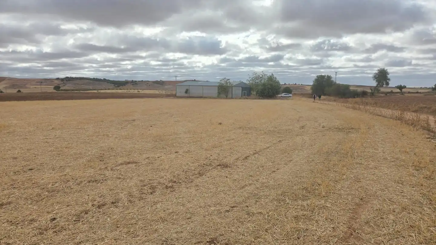 Terrenys i solars en venda a Aldehuela, imagen 13