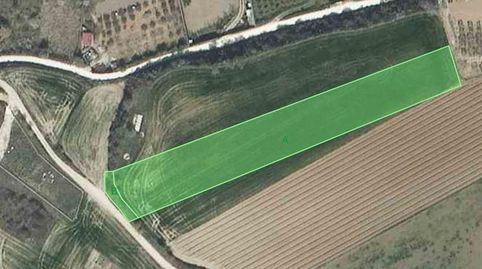 Parcela de cultivo, 5500m2, imagen 5