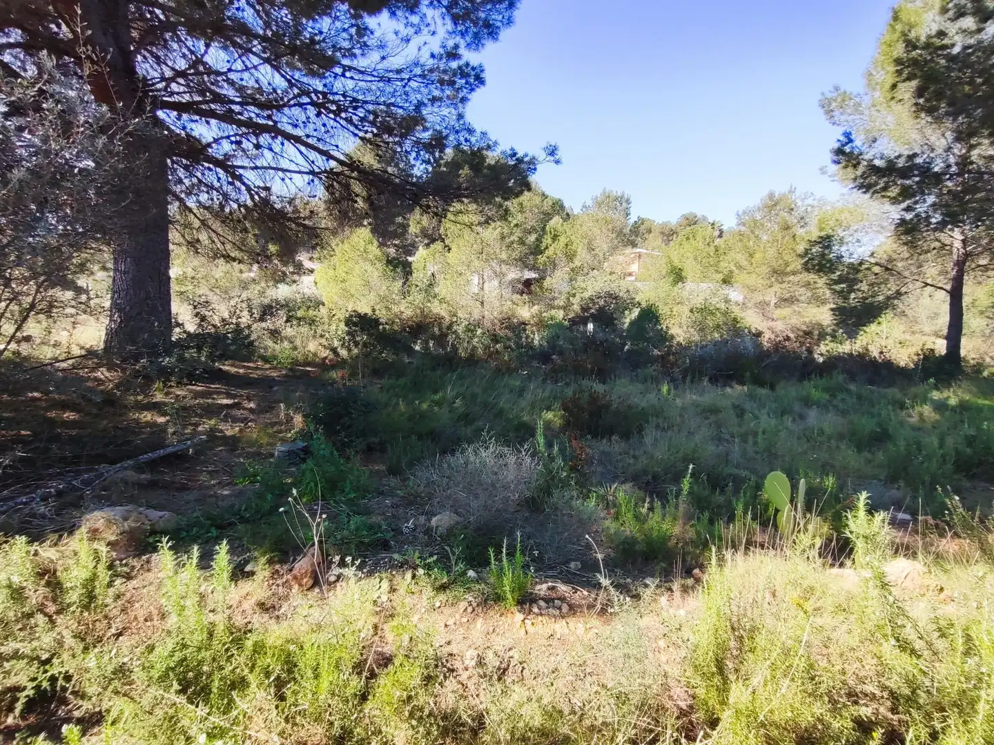 Terreno en venta en Alfara de la Baronia