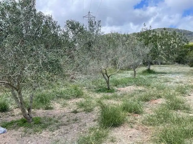 Haus mit Garten zum Verkauf in Sant Josep, imagen 14