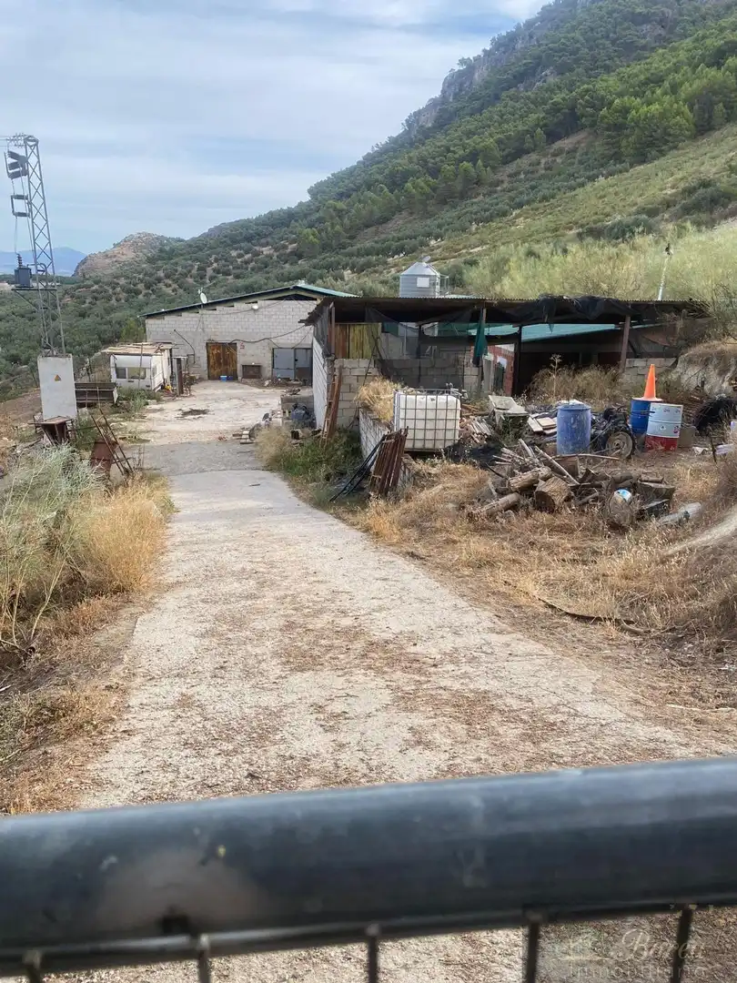 Vista exterior de Nave industrial en venta en Rute