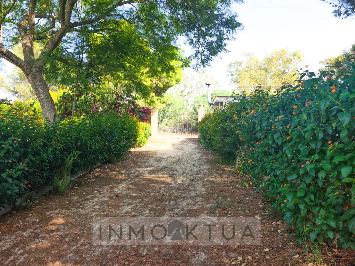 Casa rústica amb jardí en venda a Ctra Sanlúcar - Cuatro Pinos, imagen 25
