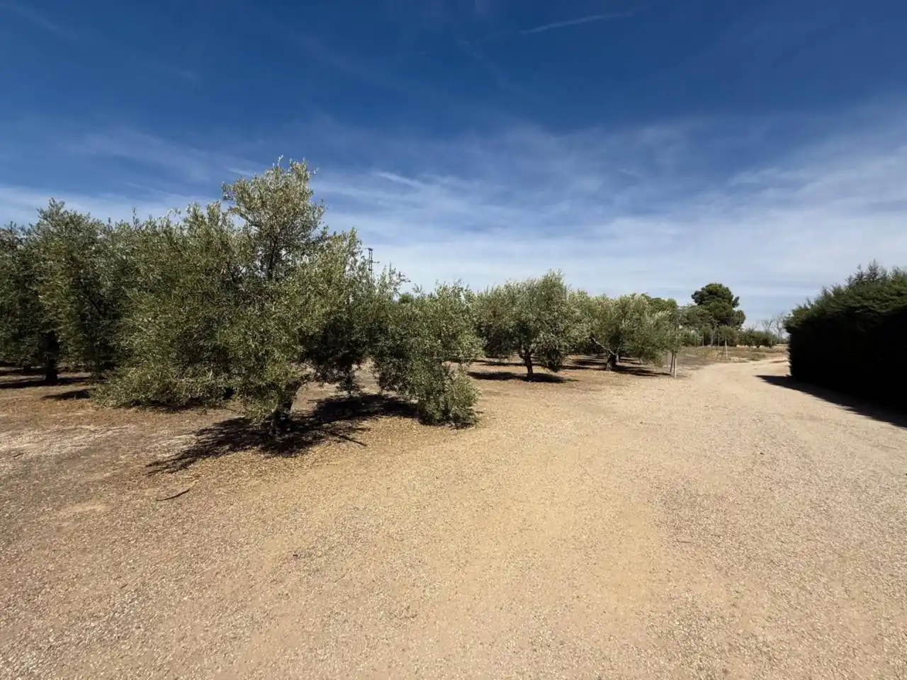 Finca rústica en venta en Úbeda con Jardín privado y Piscina